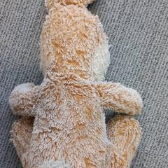 Xoguete, segundo informou Arriva West-Brabant usando iLost