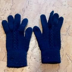 Kleding - handschoenen, jak nahlášeno Centraal magazijn pomocí iLost