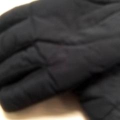 Luvas Zwart, como reportado por Qbuzz Fryslân utilizando o iLost