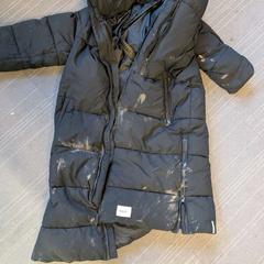 Bunda zwarte KHUJO, ako bolo nahlásené Gemeente Tiel pomocou iLost