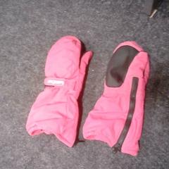 Hansker Roze, som rapportert av SnowWorld Landgraaf ved bruk av iLost