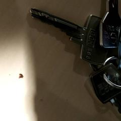 Chaves, segundo informou Regio Antwerpen - Brussel usando iLost