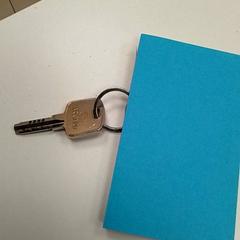 Key, as reported by ilévia using iLost