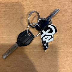 Chiavi, come riportato da Gemeente Amsterdam - Bureau Gevonden Voorwerpen utilizzando iLost