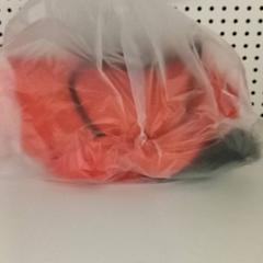 ビニール袋 がiLostで Qbuzz GD Groningen HS によって報告されました