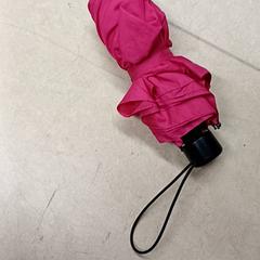 Paraplu Roze, zoals gemeld door Qbuzz GD Groningen Peizerweg met iLost