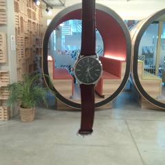 Pflanze Montre CAsio, gemeldet von MEININGER Hotel Bordeaux Gare Saint-Jean über iLost