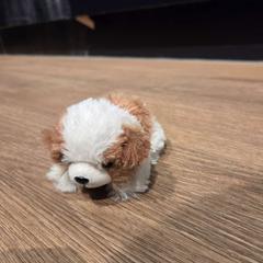 Peluche, como reportado por AFAS Live utilizando o iLost
