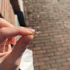 Ring an iLost gemeldet