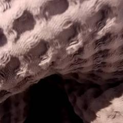 Decke, gemeldet von De Efteling über iLost