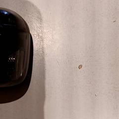 Earpods, segundo informou De Efteling usando iLost