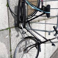 Bicicleta de mujer Gazelle, ha sido reportado por Stadswerk072 con iLost