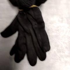 手袋 Zwart がiLostで Arriva Friesland / Groningen によって報告されました