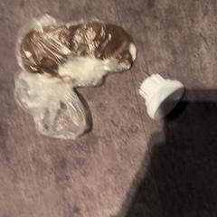 نظارات شمسية & أجهزة الشحن، كما تم الإبلاغ عنه بواسطة Van der Valk Hotel Haarlem عبر iLost