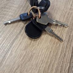 Chaveiro 5 sleutels + Tag, como reportado por RRReis IJssel-Vecht Lelystad utilizando o iLost