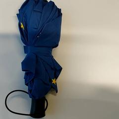 Paraplu, zoals gemeld door Centraal magazijn met iLost