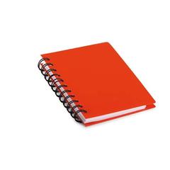 Notizbuch, gemeldet von Soler i Sauret über iLost