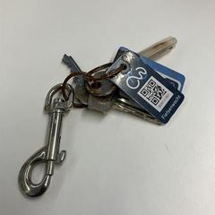 Nycklar, rapporterat av Gemeente Rijswijk med iLost