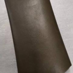 İLost kullanarak Arriva Friesland / Groningen tarafından bildirildiği gibi Gözlük kılıfı Groen