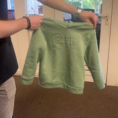 Children's sweater groen, as reported by Burgers' Zoo using iLost