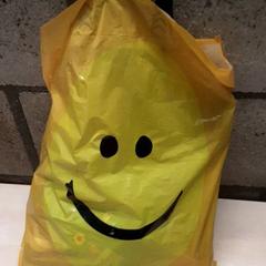 가방, iLost를 사용하여 Arriva Oost-Brabant에 보고됨