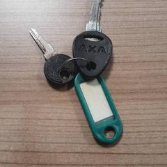 鍵 がiLostで Transdev Hoeksche Waard Goeree Overflakkee によって報告されました