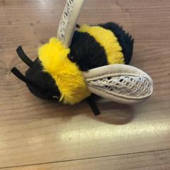 كنوفل Bijen knuffel bij، كما تم الإبلاغ عنه بواسطة Pathé Arnhem عبر iLost