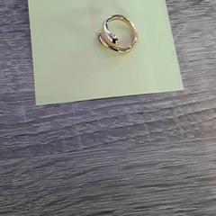 Ring Goudkleurig, as reported by EBS Tramplein using iLost