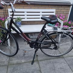 Fiets dames batavus rood, iLost에 보고됨