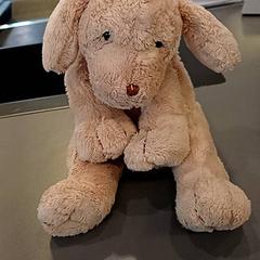 Plüss, amint azt Qbuzz GD Groningen HS az iLost segítségével jelentette.