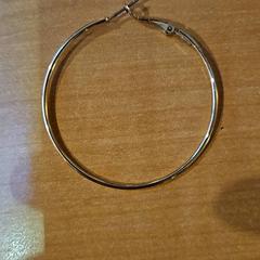 Arracada, segons ha informat Gemeente Zutphen mitjançant iLost