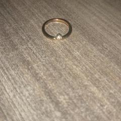 Bague, a été signalé par Van der Valk Hotel Haarlem utilisant iLost