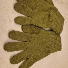 Handschuh Groen, gemeldet von Mauritshuis Den Haag über iLost