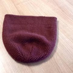 Beanie, as reported by Connexxion Haarlem AML using iLost