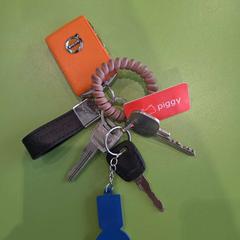 Giltza-giltza met volvo sleutel en diverse hangers, gisa salatu by Gemeente Hardenberg iLost erabiliz