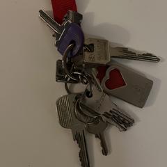 Sleutelbos / set of keys, iLost에 보고됨