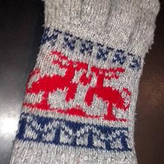 Handschoen, zoals gemeld door TivoliVredenburg met iLost