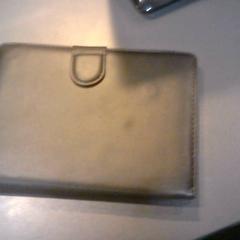 E-läsare, rapporterat av SnowWorld Landgraaf med iLost