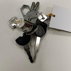 Gakoa, gisa salatu by Centraal magazijn iLost erabiliz