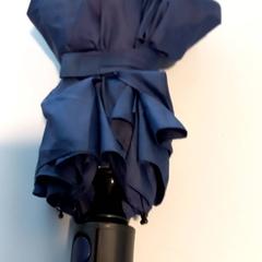 Deštník, jak nahlášeno Arriva Limburg Noord pomocí iLost