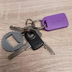 Sleutels, zgłoszono przez EBS Spijkenisse przy użyciu iLost