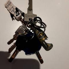 Klíče, jak nahlášeno Campus Den Haag pomocí iLost