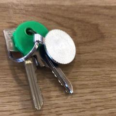 المفاتيح Groen hoesje، كما تم الإبلاغ عنه بواسطة Gemeente Alkmaar عبر iLost