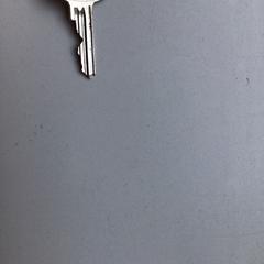 Klíč, jak nahlášeno Gemeente Veenendaal pomocí iLost