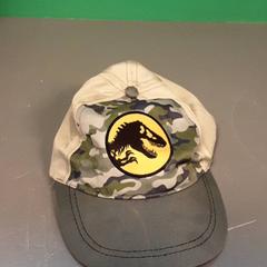 İLost kullanarak Diergaarde Blijdorp tarafından bildirildiği gibi Petje Groen