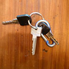 Sleutelbos Vroonemeer Alkmaar, ako bolo nahlásené iLost