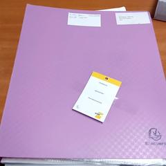 Map, as reported by Regio Limburg - Leuven using iLost