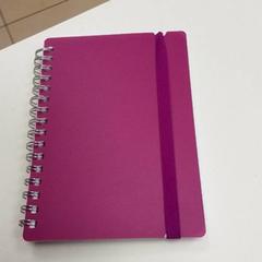 Jegyzetfüzet, amint azt ilévia az iLost segítségével jelentette.