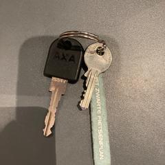 İLost kullanarak Pathé Haarlem tarafından bildirildiği gibi Sleutel & Sleutelbos