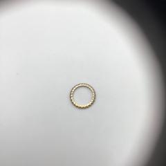 Ring, as reported by Rijksmuseum using iLost